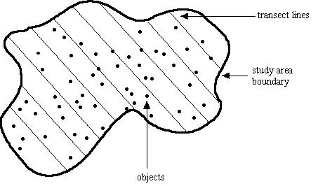 Drawing of the study area with transect lines and objects