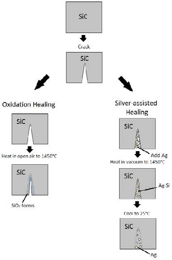 Flowchart of the process