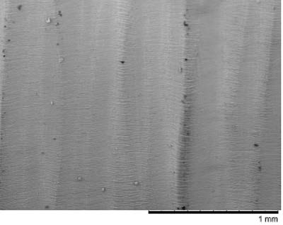 TBC image 1