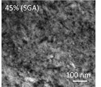Image showing 45% (SGA) 100nm scale