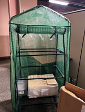 Photo of a small greenhouse