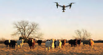 Photo showing a drone over a ranch with cows