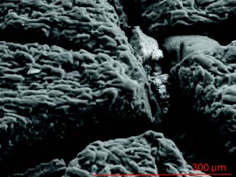 Image of outside look of the material