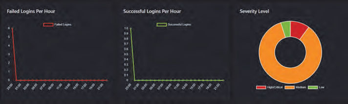 Screenshots of the pie and line graphs showing security level and successful/failed logins
