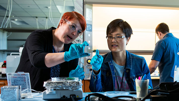 Faculty member discussing work with PhD student in lab