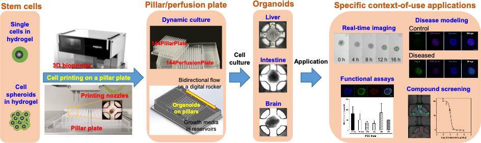 Pillar perfusion plate and 3D bioprinter