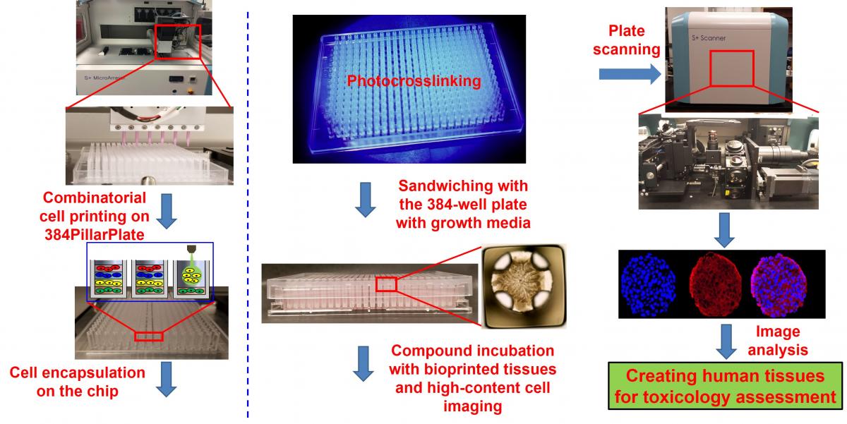 Pillar Well flow