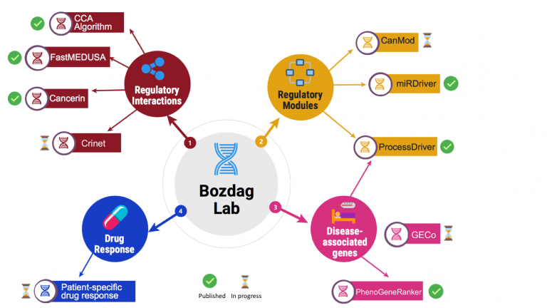 Bozdag lab research diagram