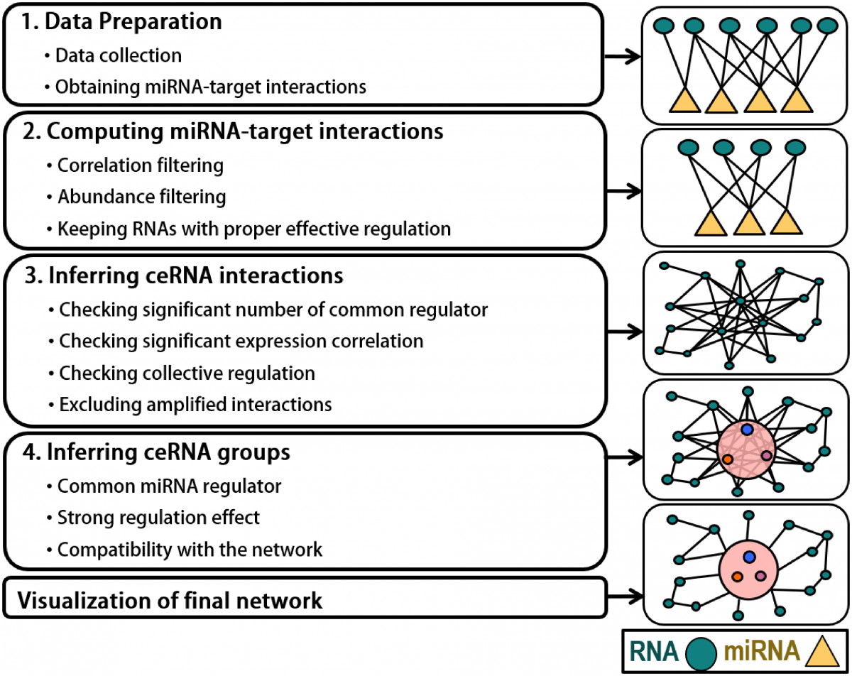 Diagram for Crinet