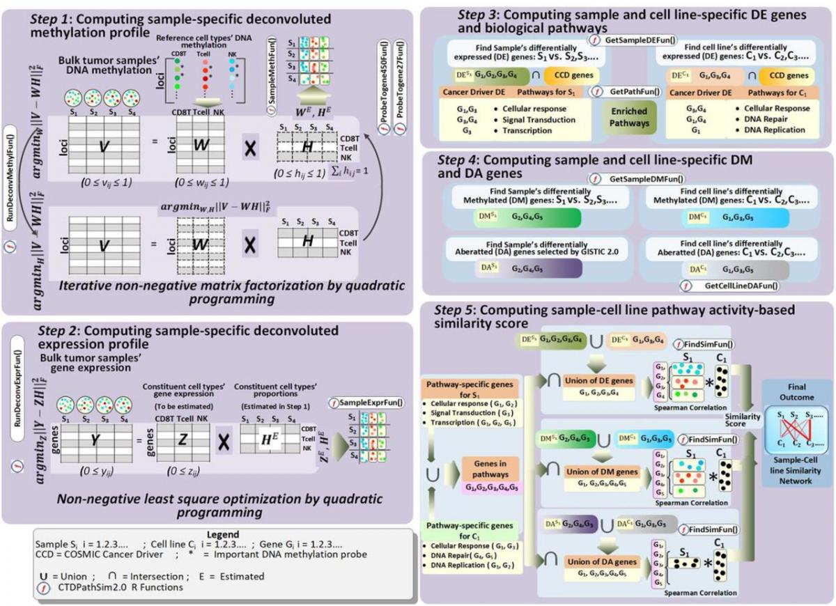 Diagram for high dimensional biological datasets