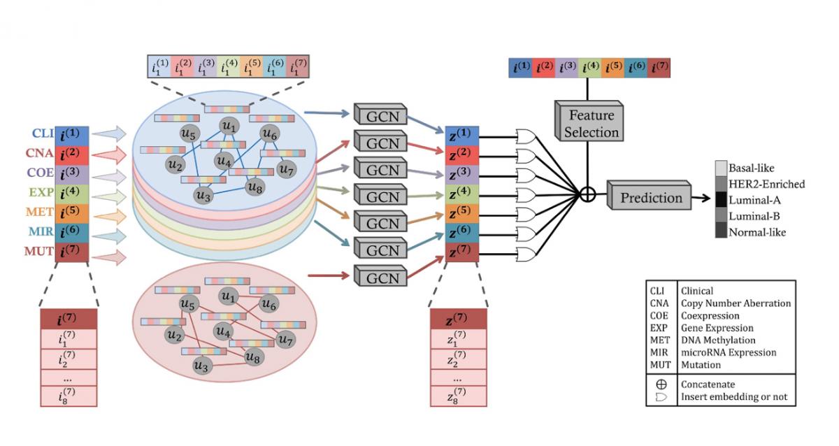 Diagram for learning methods for network biology