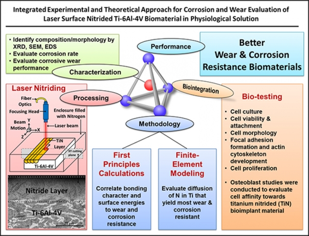 Integrated experimental and theoretical approach for corrosion and wear evaluation of laser surface nitrided Ti-6Al-4V biomaterial in physiological solution
