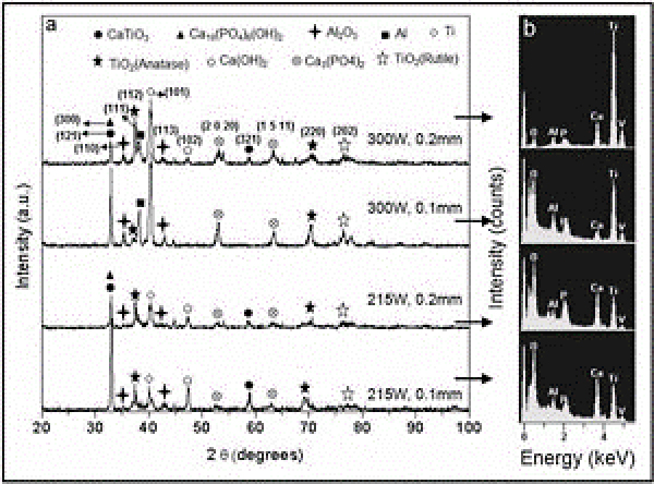 XRD and EDS analysis of textured coatings