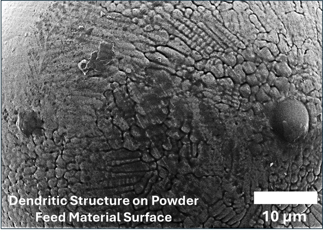 Dendritic structure on powder feed materials surface