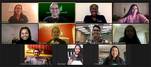 A screenshot of a zoom meeting with the SWE members