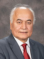 Ali Erdemir