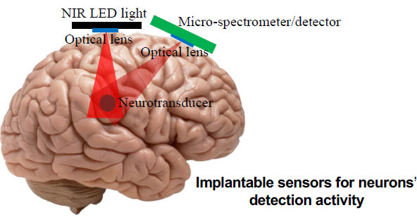 Implantable sensors for neurons' detection activity