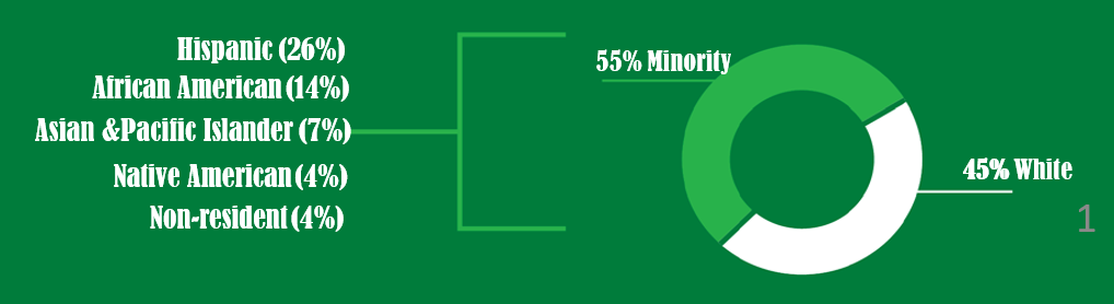 Pie chart showing demographics of student body. 45% wihte, 55% minority