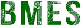 BMES logo